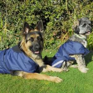 Rhinegold Highland Waterproof Dog Coats