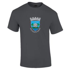 Ultra Cotton™ Adult T-shirt - Bathgate Band