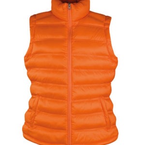 Women's Ice Bird Padded Gilet