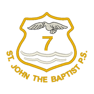 St John the Baptist Primary 7