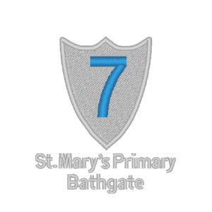 St Mary's Primary 7 Bathgate