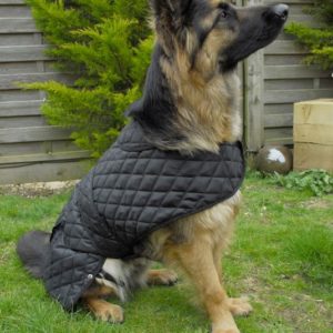Rhinegold Balmoral Quilted Dog Coat
